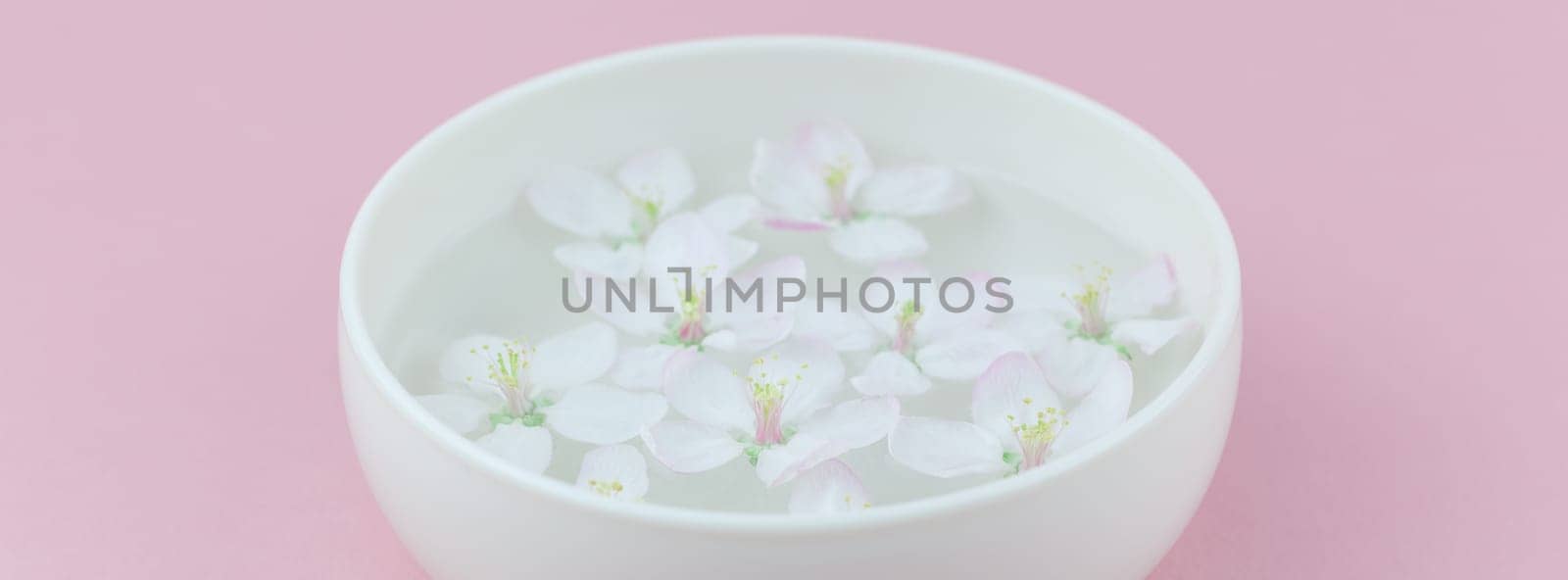 Close up of white spring blossoming apple tree flowers floating in aroma bowl of water. Spa and wellness concept. Long wide banner