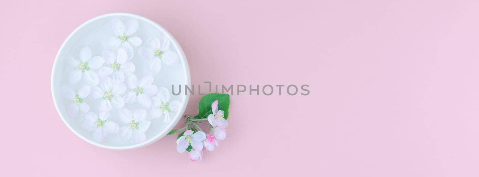 Creative flat lay concept top view of aroma bowl with water and white spring blossoming apple tree flowers on pastel pink paper background with copy space in minimal style, long wide banner