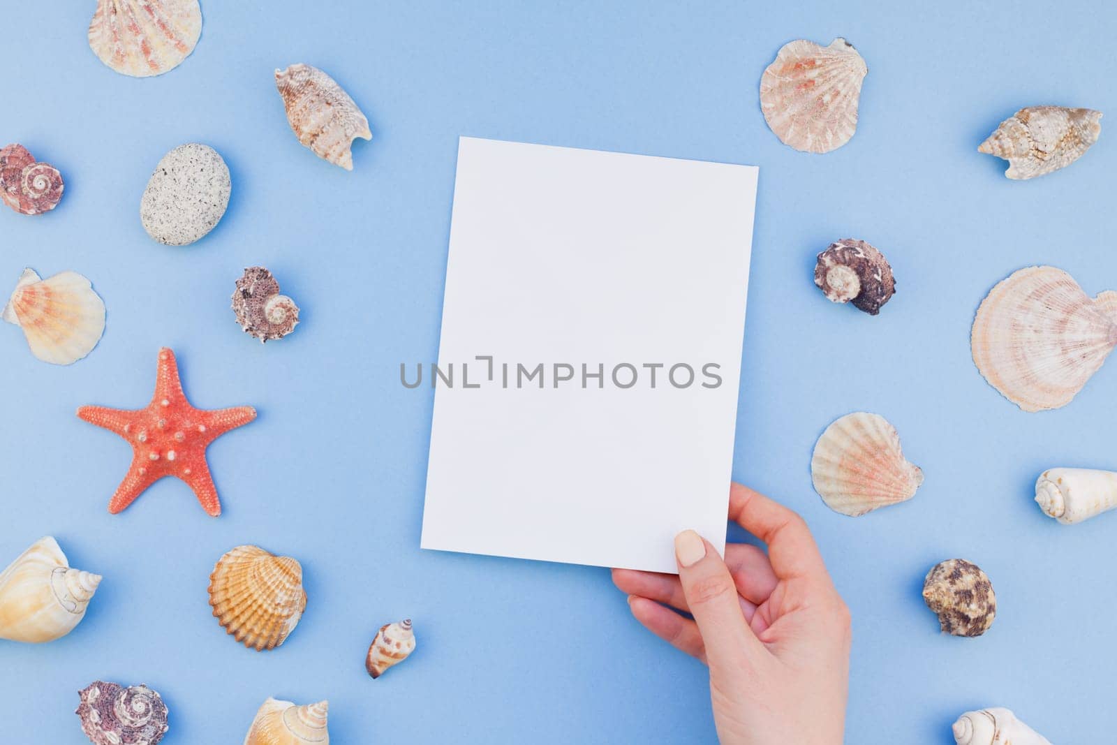 Creative flat lay concept of summer travel vacations. Top view of seashells and starfish on pastel blue background with postcard mock up and copy space in minimal style, template for text