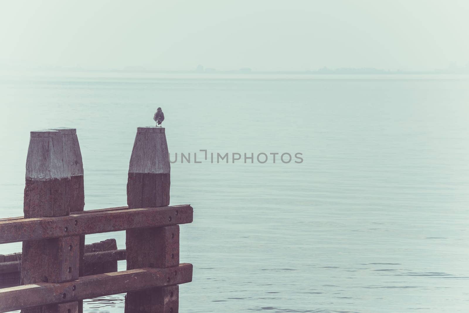 Northern Sea landscape: still water and wooden pier