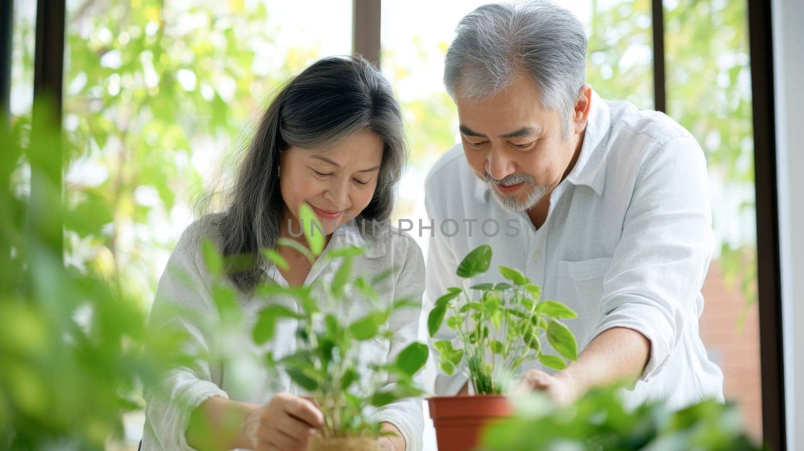 Couple caring houseplants at home. Asian mature man and woman with green plants. AI Generated