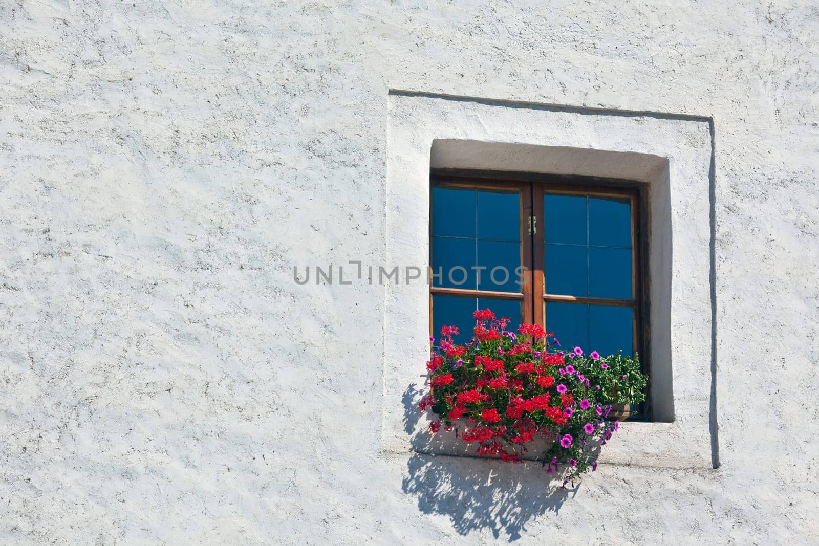 Window with flowerpots and colorful flower on a white wall