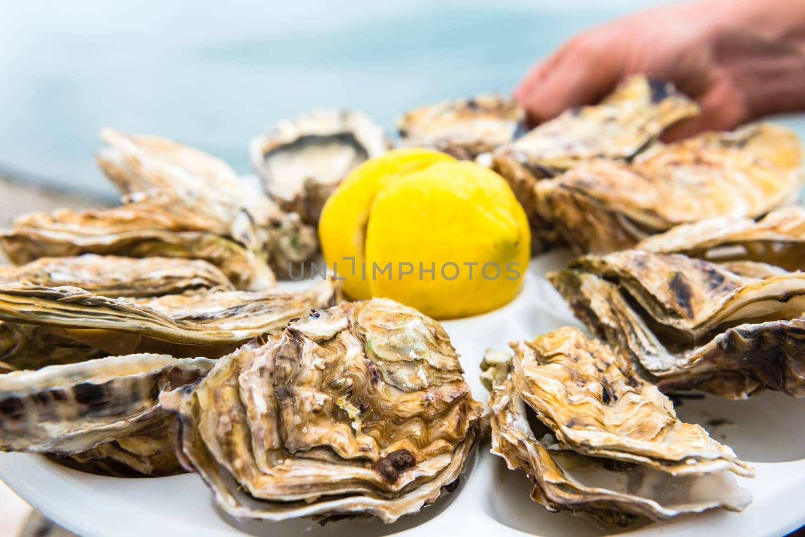 Male hand holding oysters on a plastic plate near the sea