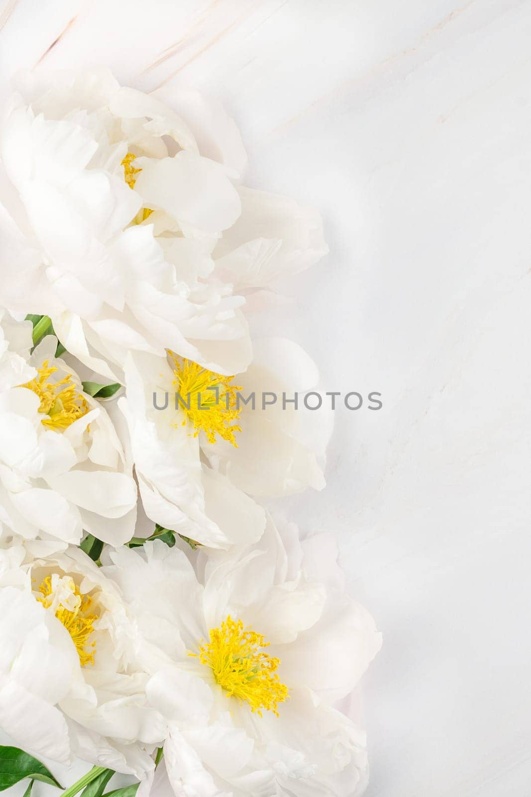 Beautiful blooming white peony flowers on marble background with copy space in minimal style, template for postcard, lettering, text or your design. Wedding invitation and celebration greeting concept