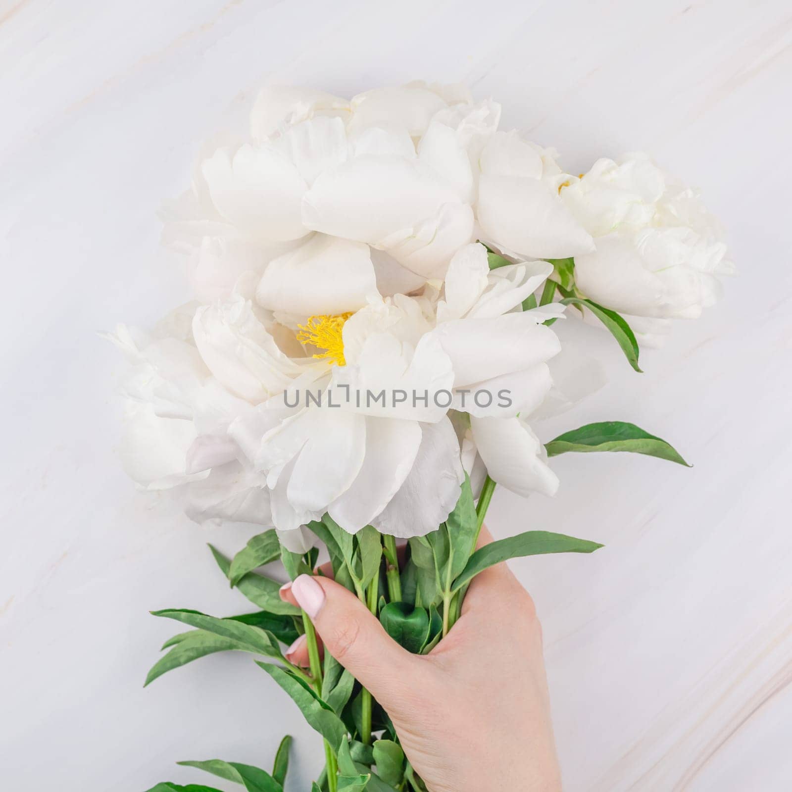 Beautiful blooming white peony flowers on marble background with copy space in minimal style, square template for postcard, text or your design. Wedding invitation and celebration greeting concept