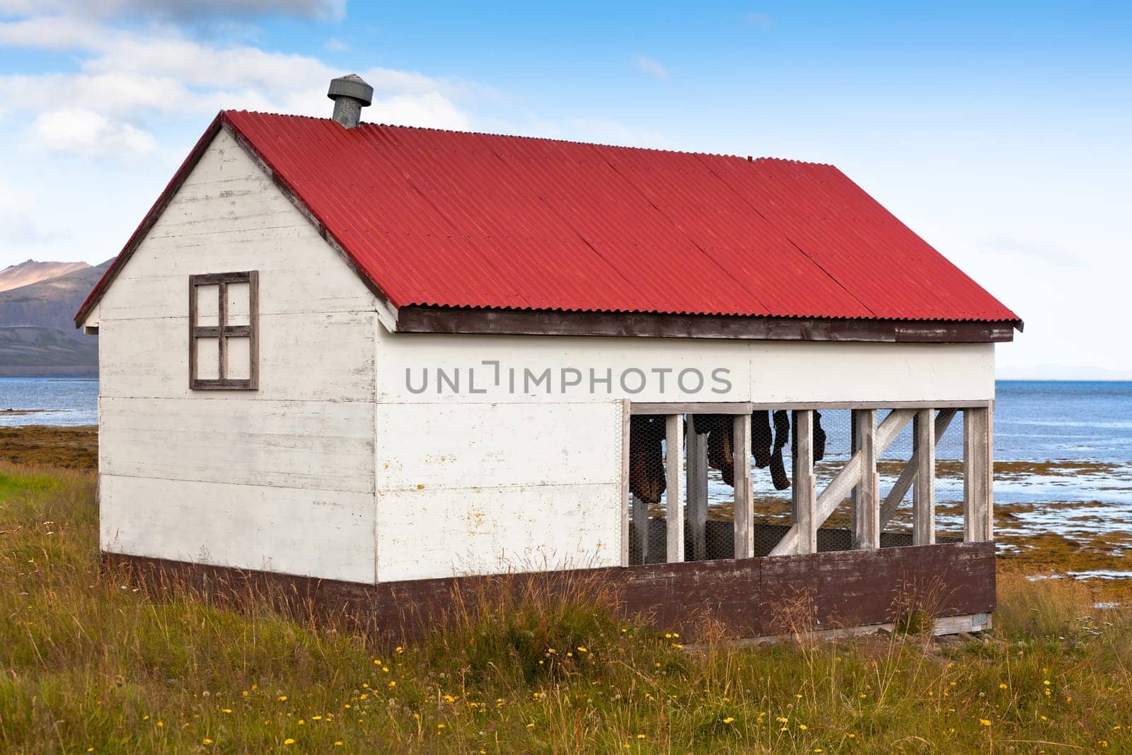 Fish Drying Hut at North Iceland Sea Coast. Horizontal shot