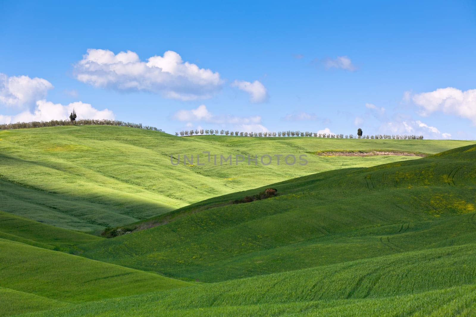 Outdoor Tuscan hills landscape. Horizontal shot