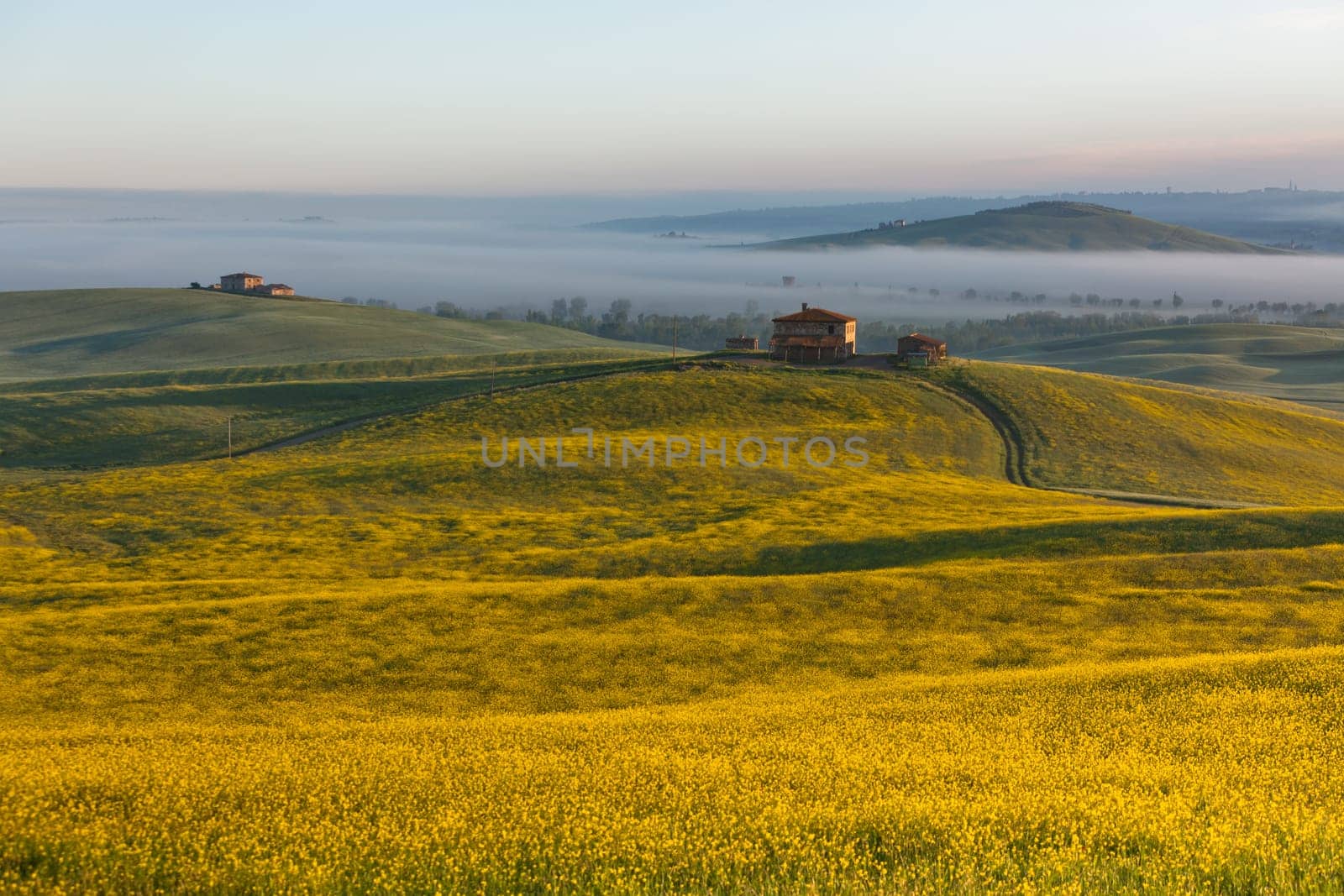 Morning fog view on farmhouse at Valley d?Orcia in Tuscany, Italy