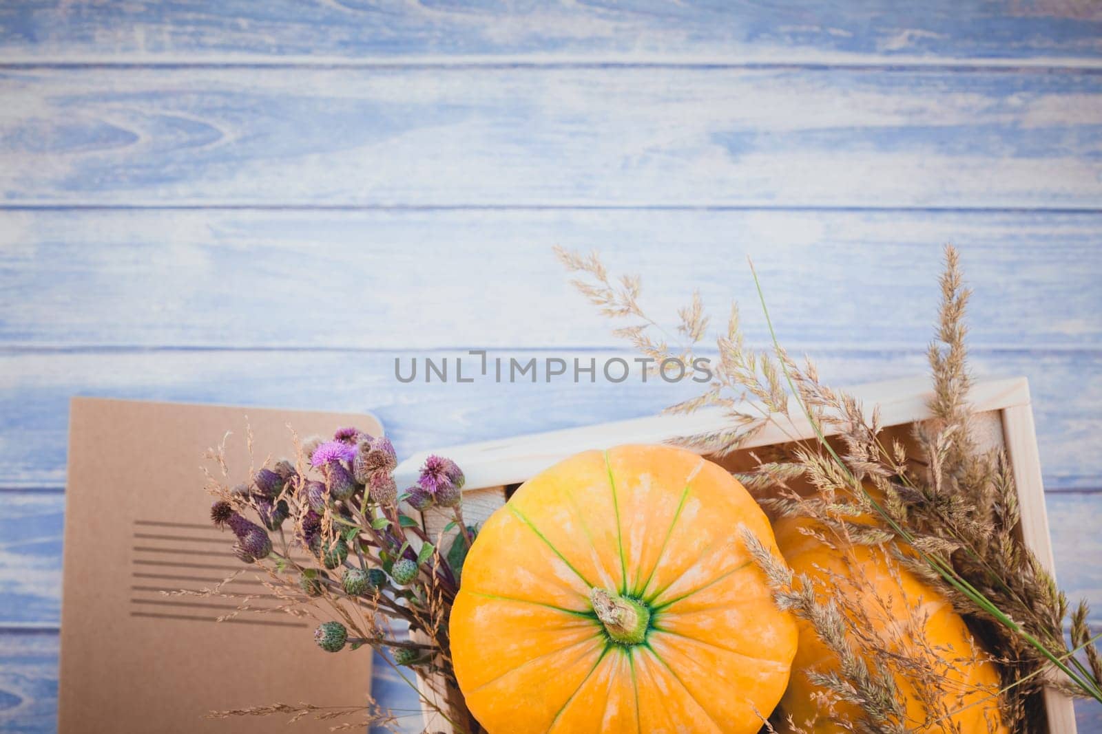 Top view of autumn orange pumpkins and dry flowers and grass in box thanksgiving background over blue toned wooden table with copy space. Template for fall harvest mood text