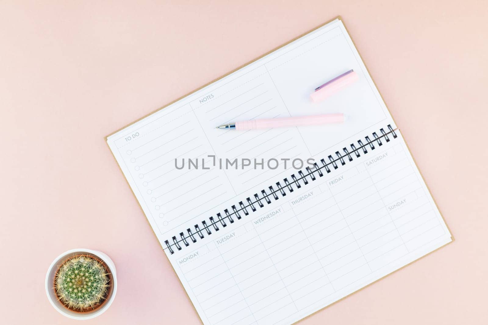 Top view flat lay of workspace desk styled design office supplies and cactuses succulents with copy space millennial pink color paper background minimal style. Template for feminine blog social media
