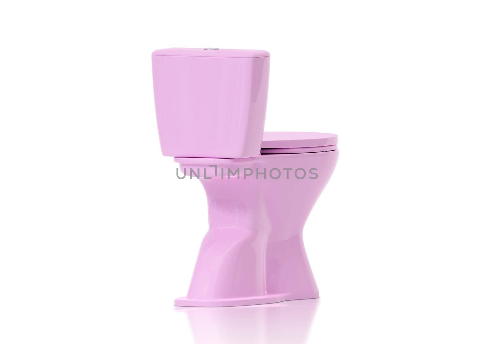 Pink toilet bowls on white background