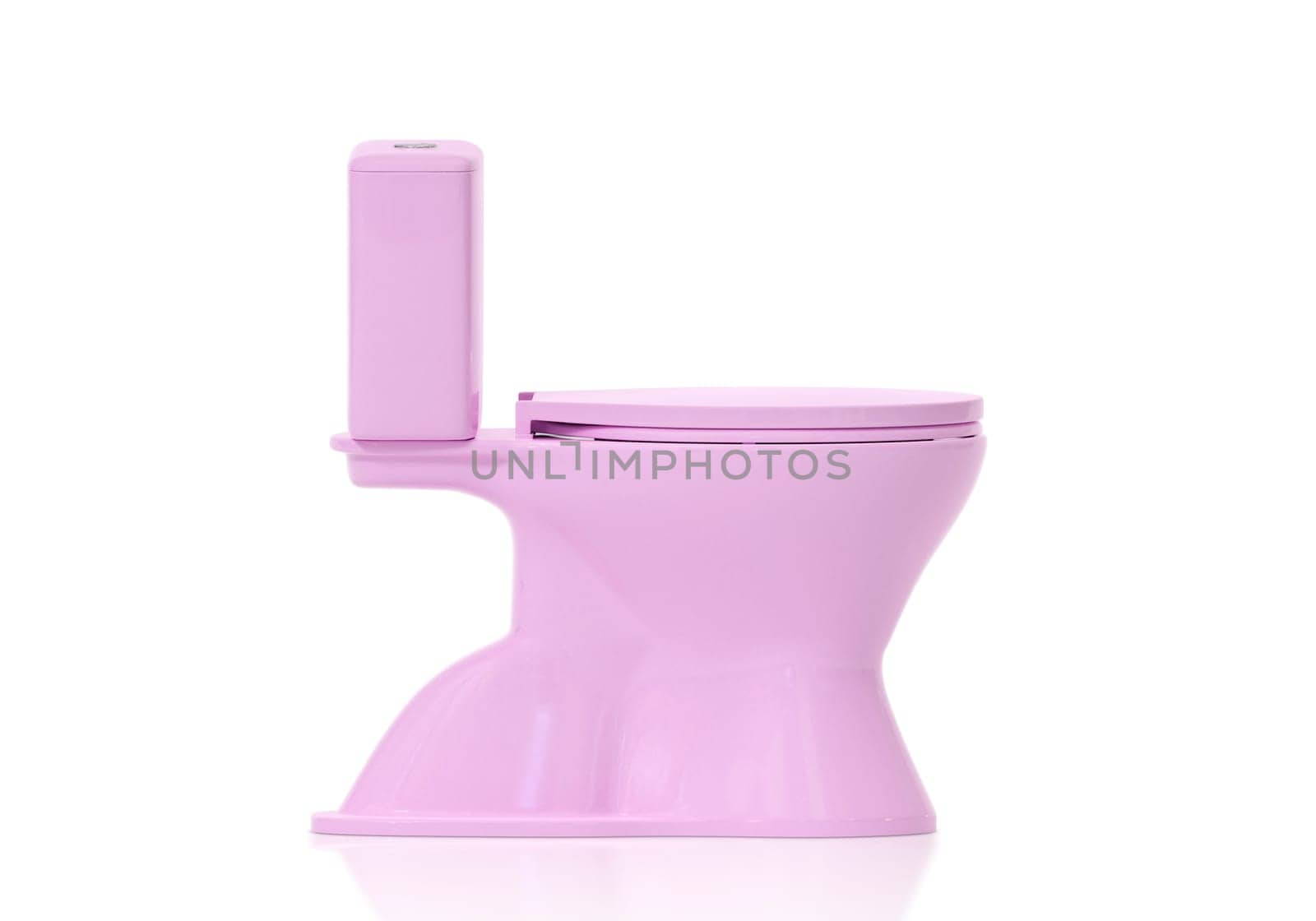 Pink toilet bowls on white background