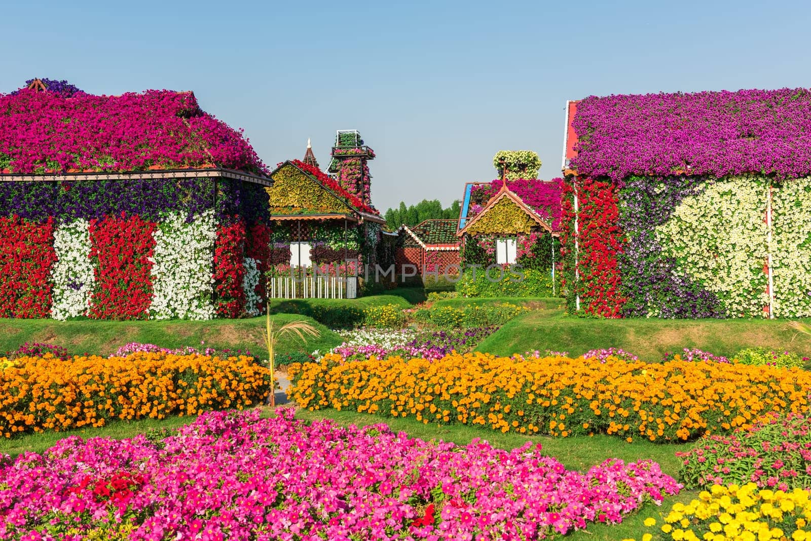 UAE, DUBAI - DECEMBER 30: dubai miracle garden with over million flowers on a sunny day December 30, 2014
