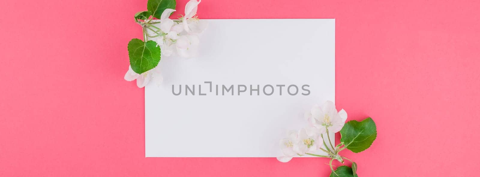 Long wide banner concept top view of blank postcard frame mock up and apple tree flowers petals on pastel pink background with copy space in minimal style, template for lettering, text or your design
