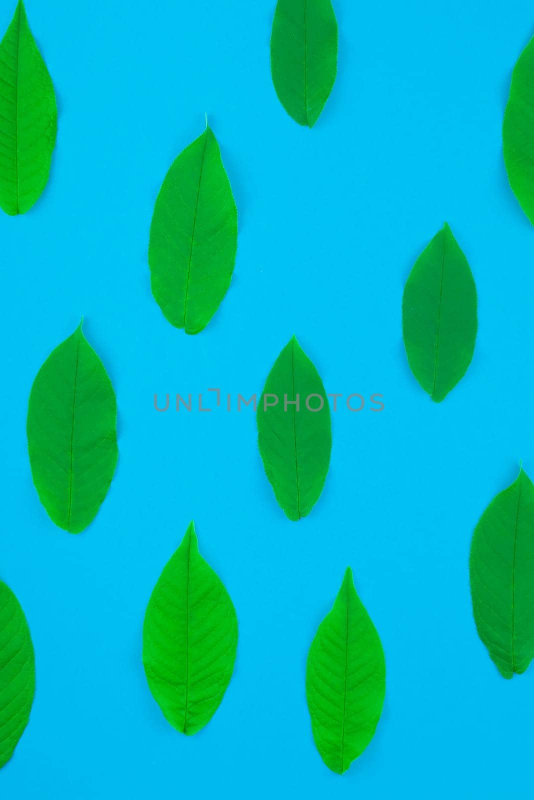 Creative flat lay top view pattern with fresh green leaves on bright blue background with copy space in minimal pop art style, template for text
