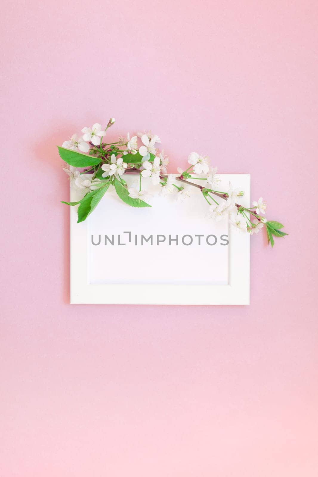 Creative flat lay concept top view of blank frame mock up and cherry tree flowers on millennial pink background with copy space in minimal style, template for lettering, text or your design
