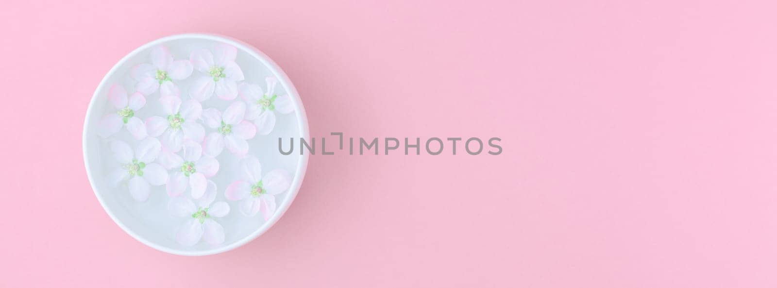 Creative flat lay concept top view of aroma bowl with water and white spring blossoming apple tree flowers on pastel pink paper background with copy space in minimal style, long wide banner