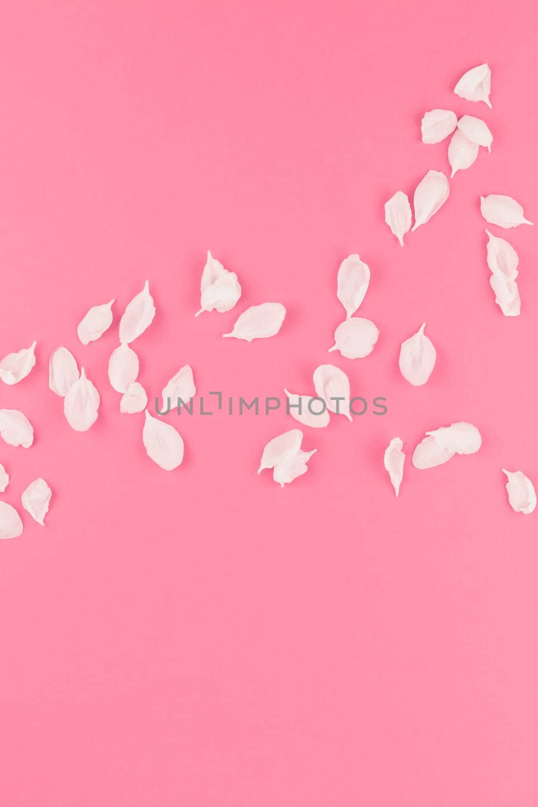 Creative flat lay concept top view of flying apple tree flowers petals on pastel pink background with copy space in minimal style, template for text