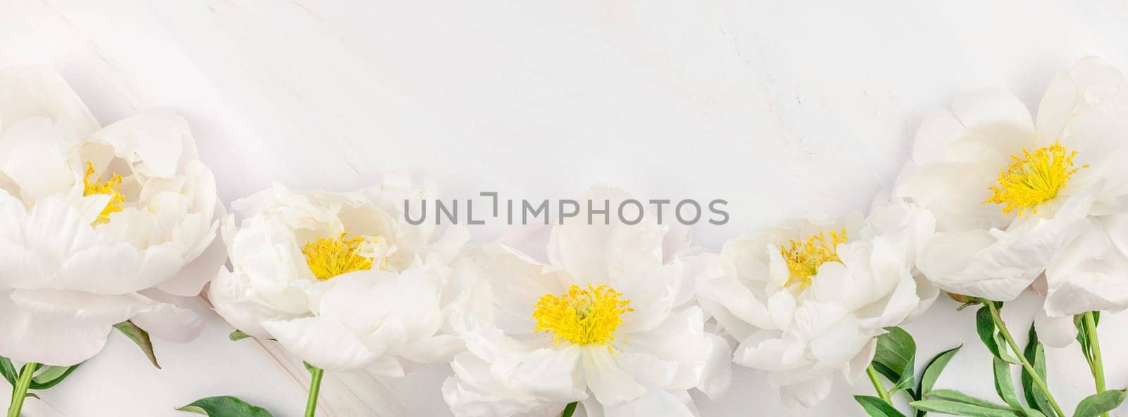 Beautiful blooming white peony flowers on marble background with copy space in minimal style, template for your design. Wedding invitation and celebration greeting concept. Long wide banner