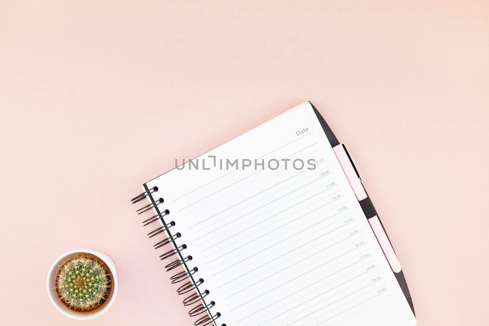Top view flat lay of workspace desk styled design office supplies and cactuses succulents with copy space millennial pink color paper background minimal style. Template for feminine blog social media