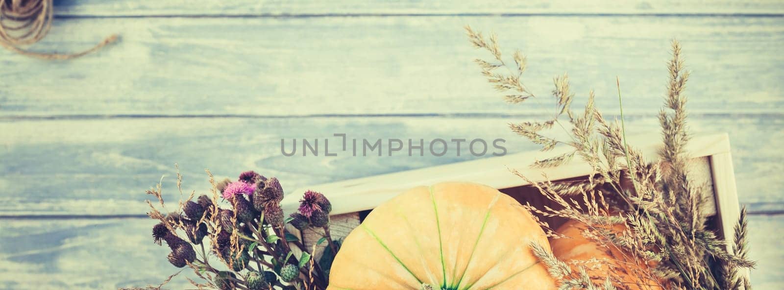 Top view of autumn orange pumpkins and dry flowers and grass in box thanksgiving background over blue toned wooden table with copy space. Template for fall harvest mood text. Long wide banner