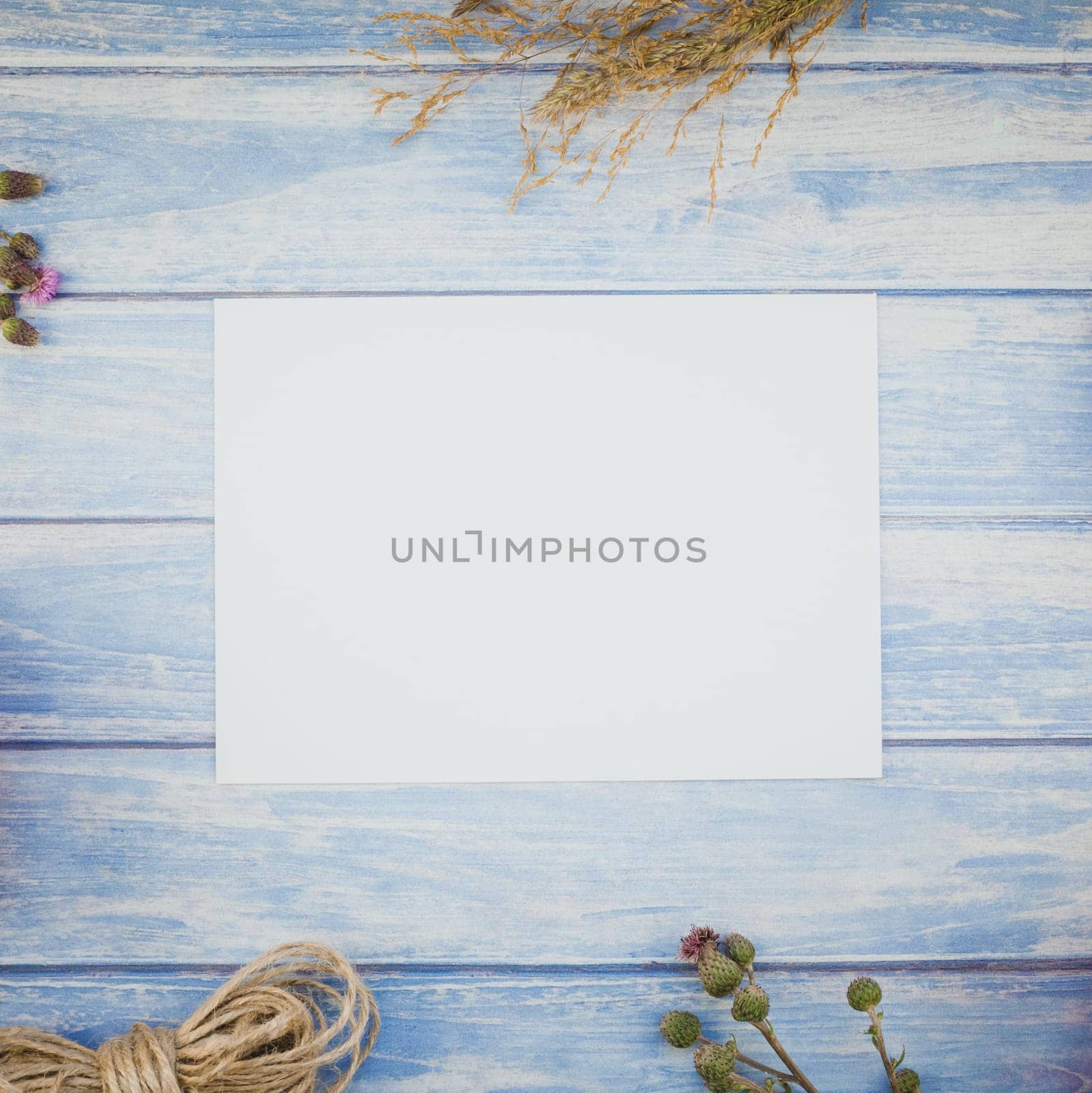 Square Top view of autumn dry flowers with grass background over blue toned wooden table with blank letter mock up and copy space in rustic style, template for text