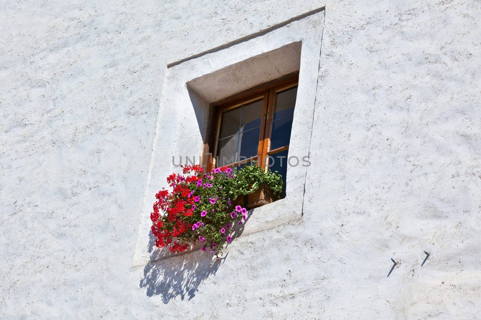 Window with flowerpots and colorful flower on a white wall
