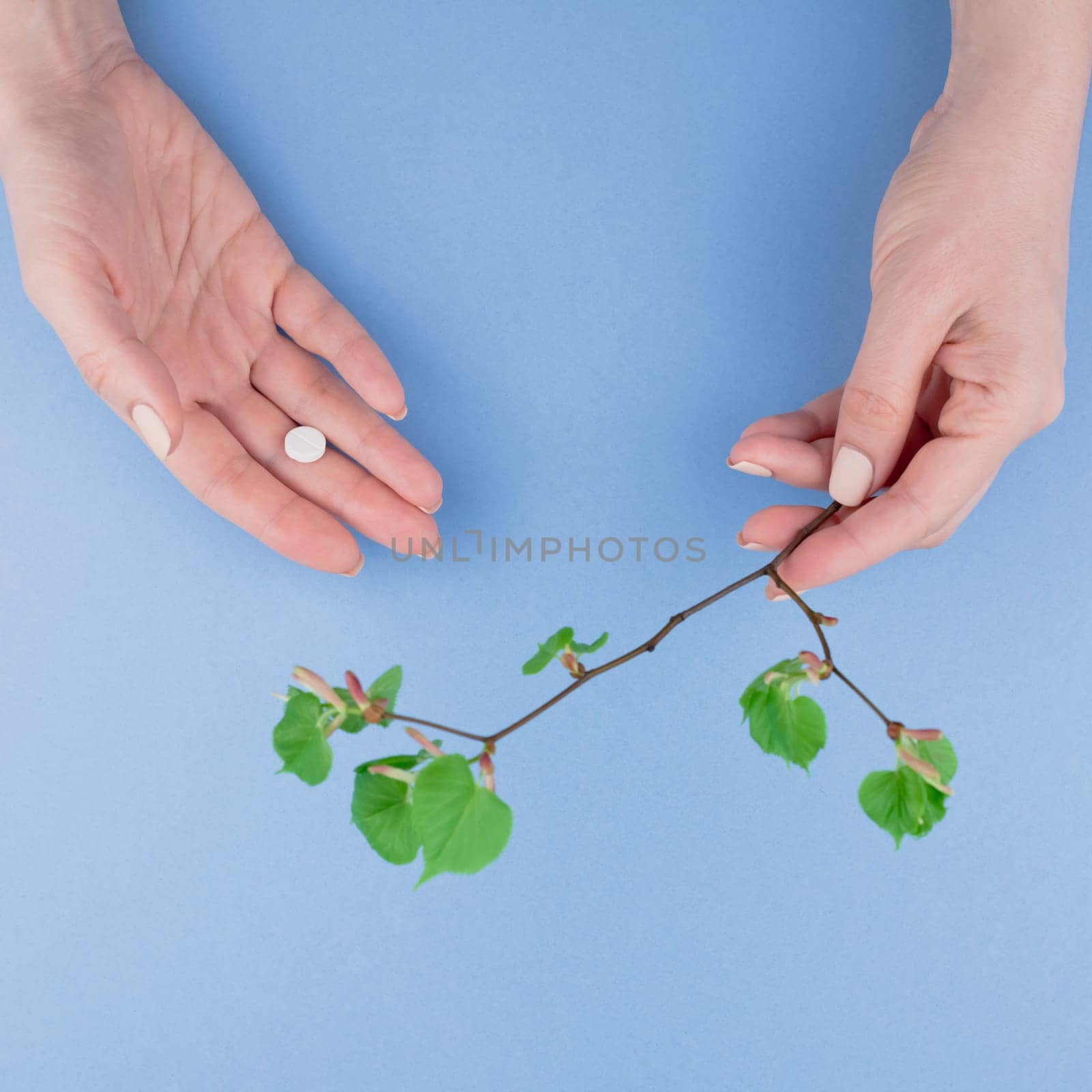 Creative flat lay concept of seasonal spring pollen allergy with a pill in a female hands and fresh green sprouts with buds with square copy space background minimal style, template for text