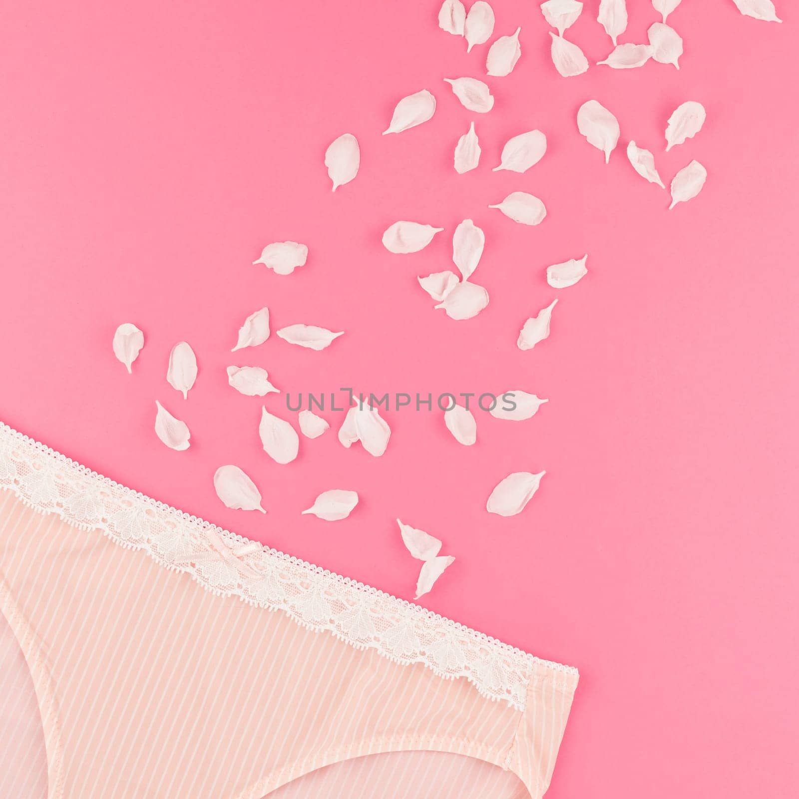 Feminine flat lay set of female panties and white flowers petals on pastel pink square color background for fashion blog and social media with copy space for text
