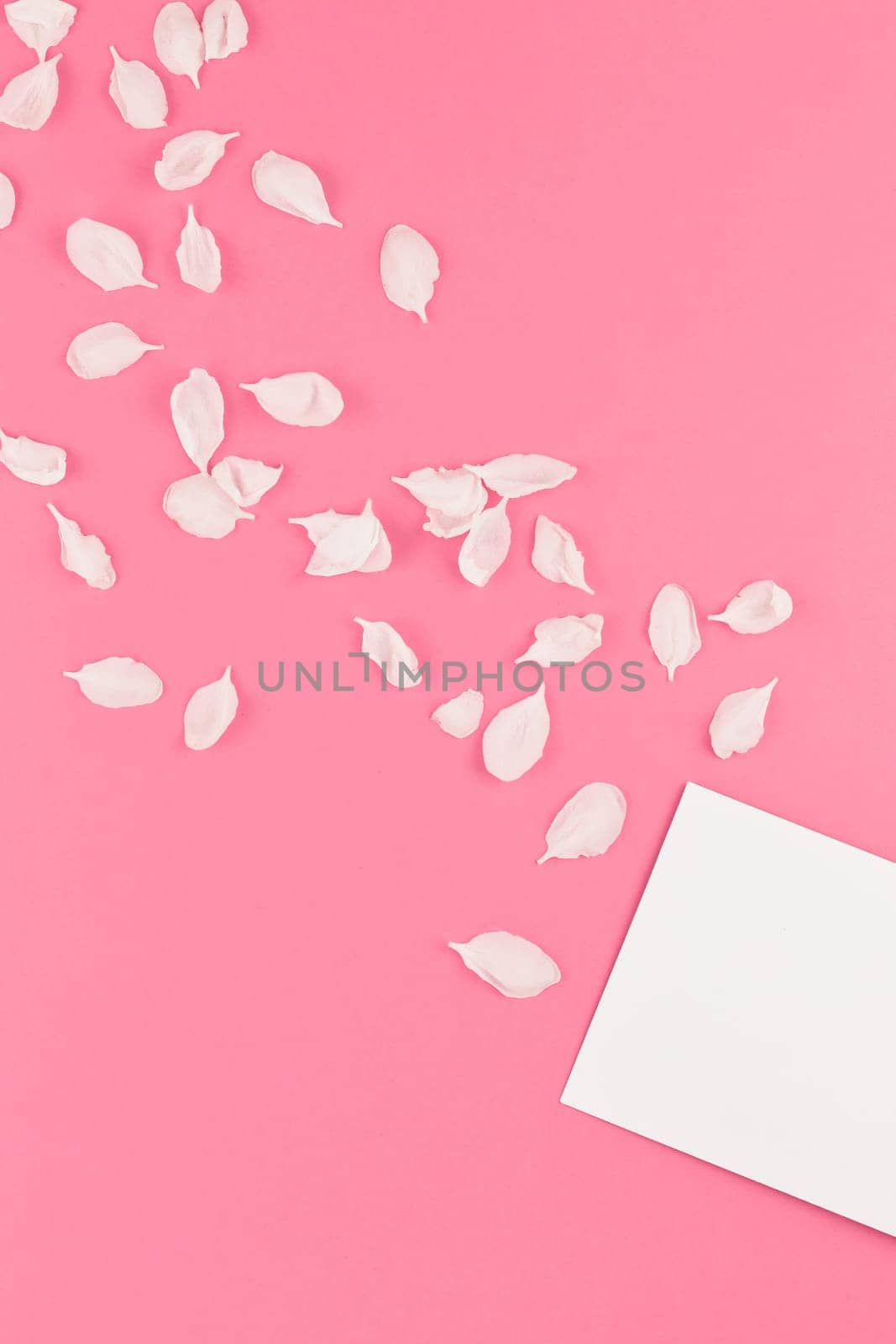 Creative flat lay concept top view of blank letter mock up and apple tree flowers petals on pastel pink background with copy space in minimal style, template for text