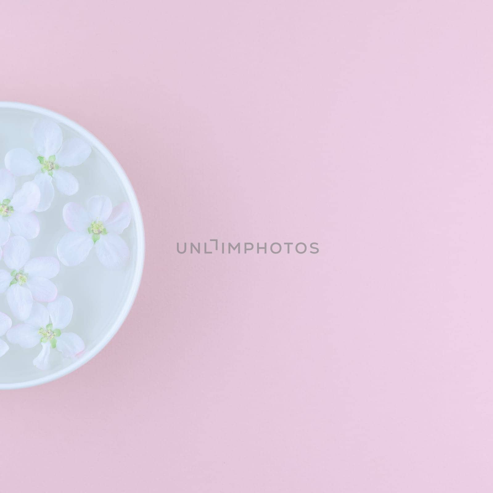 Creative flat lay concept top view of aroma bowl with water and white spring blossoming apple tree flowers on pastel pink paper square background with copy space in minimal style, template for text