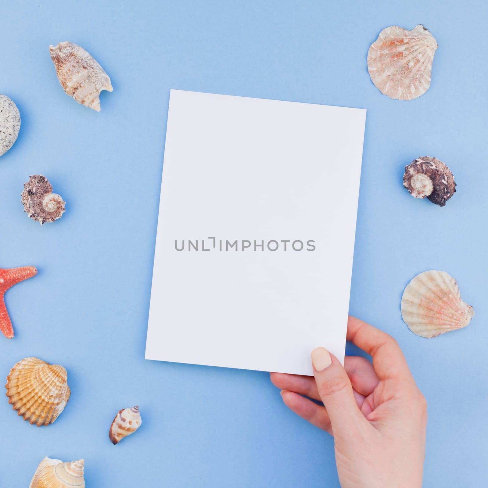 Creative square flat lay concept of summer travel vacations. Top view of seashells and starfish on pastel blue background with postcard mock up and copy space in minimal style, template for text