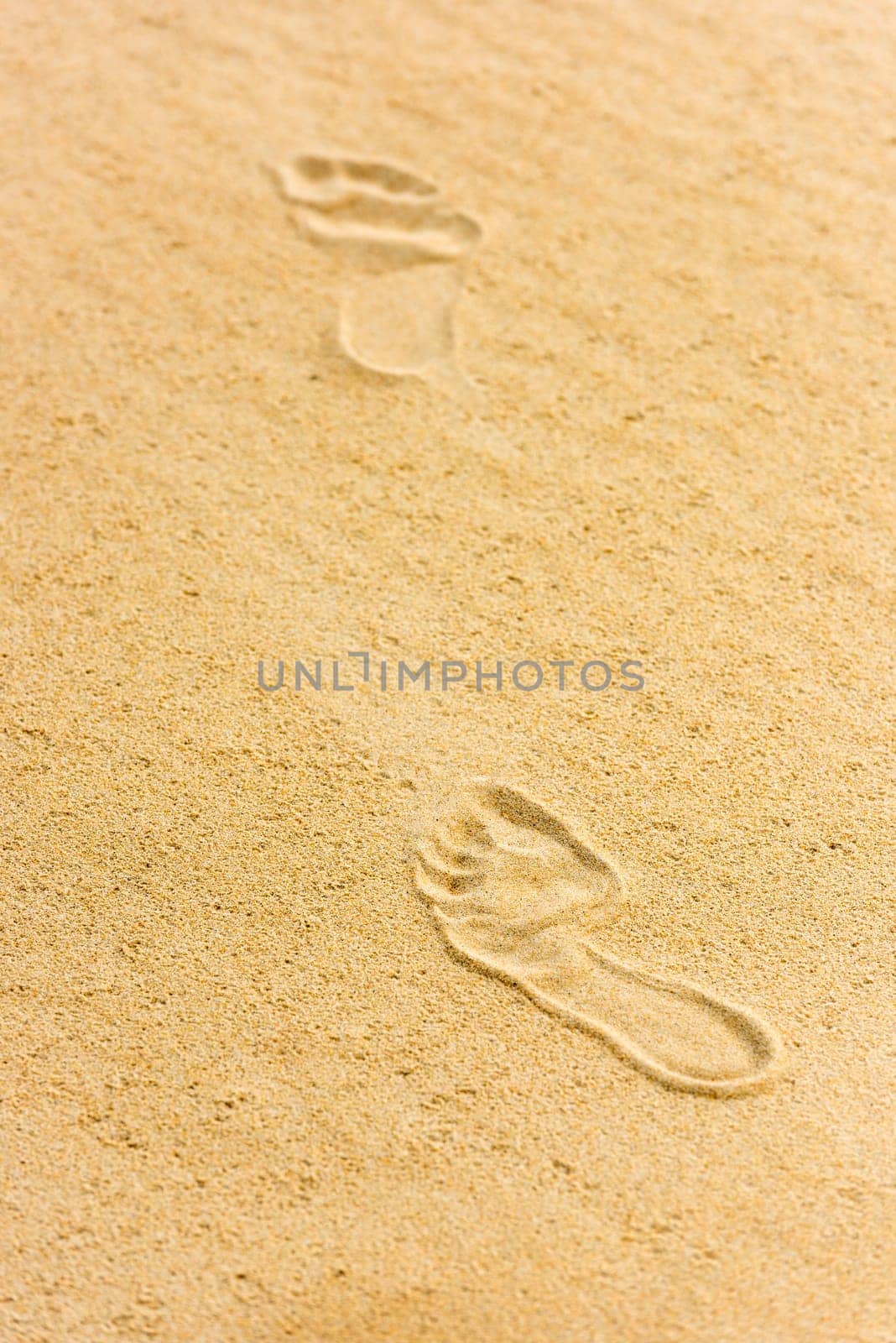 Human footprints on the sand of the beach. Vertical shot