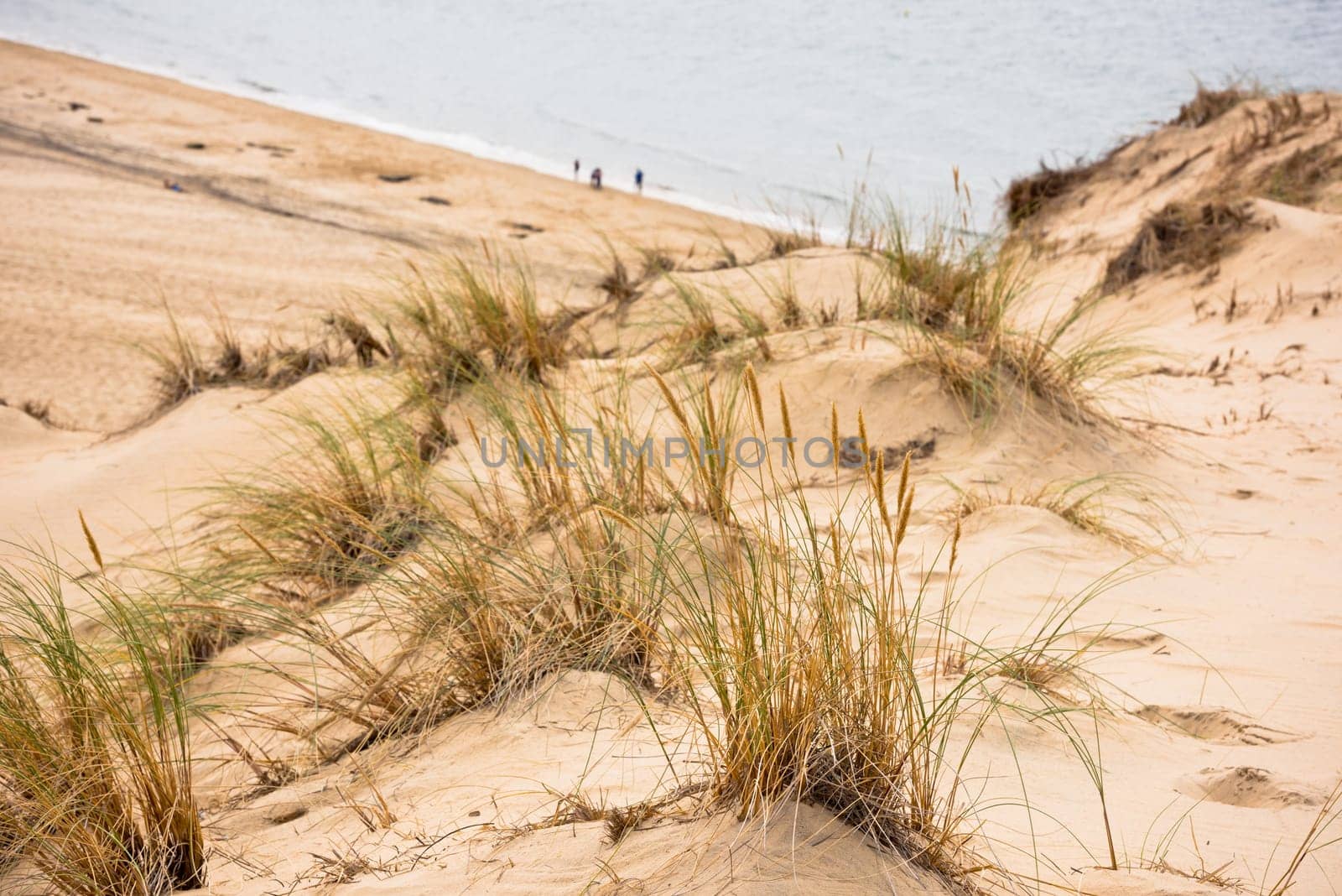 View of The Arcachon Bay and The Duna of Pyla, Aquitaine, France