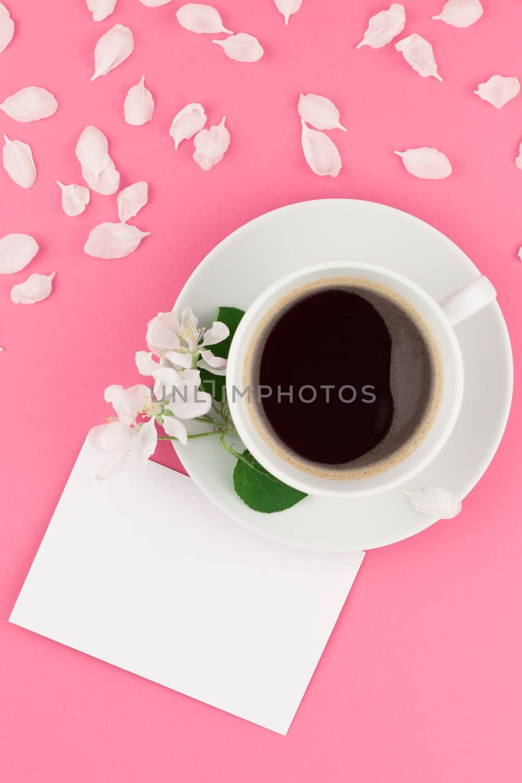 Creative flat lay concept top view of coffee cup and white apple tree flowers petals on pastel pink background with postcard mock up and copy space in minimal style, template for text