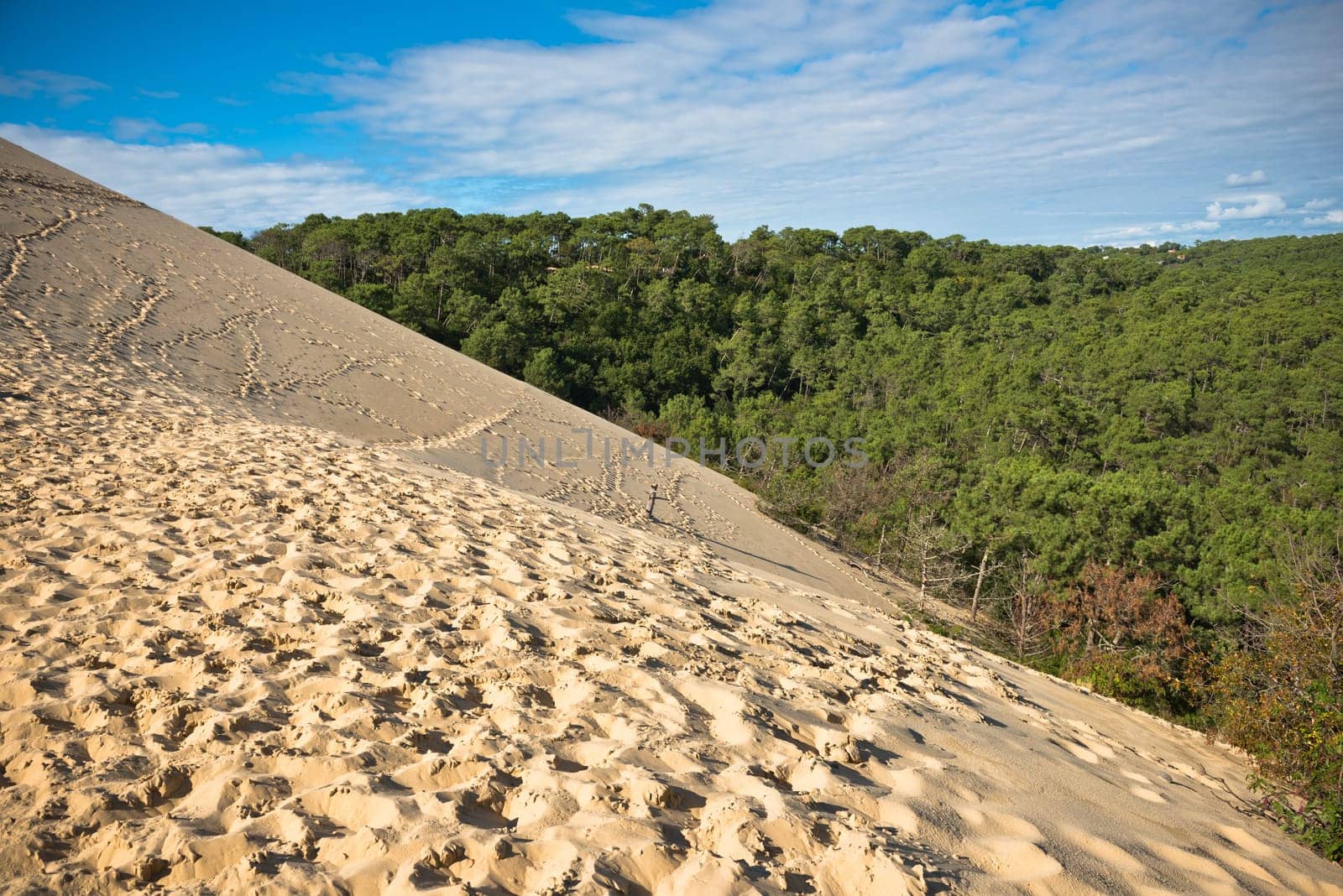 View down from the dune of Pyla, Europe's highest dune