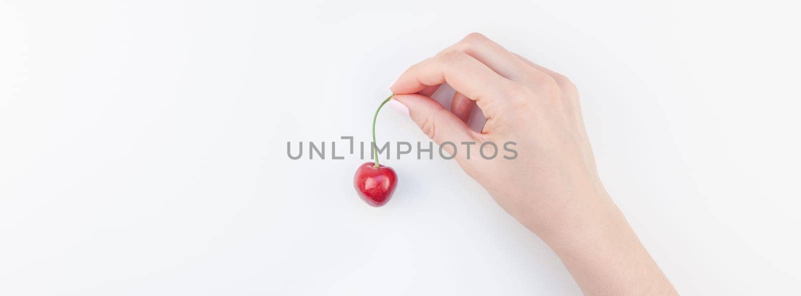 Long wide banner of fresh ripe cherry in a female hands with copy space isolated on white background in minimal style. Concept of summer fun and healthy eating. Template for your text or food design