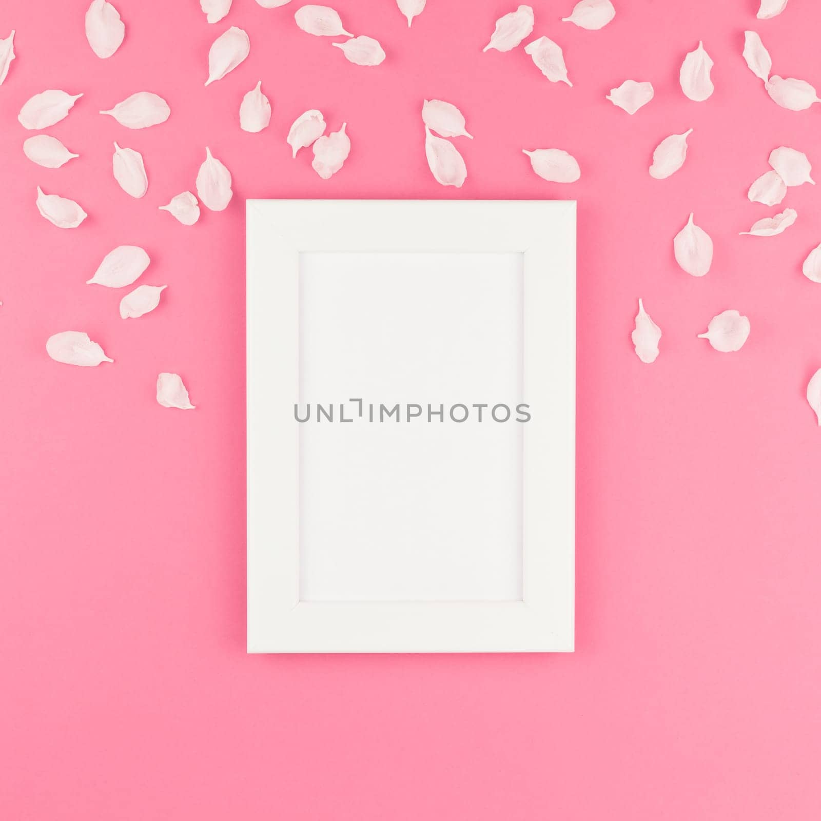 Creative flat lay concept top view of white frame mock up and apple tree flowers petals on square pastel pink background with copy space in minimal style, template for text
