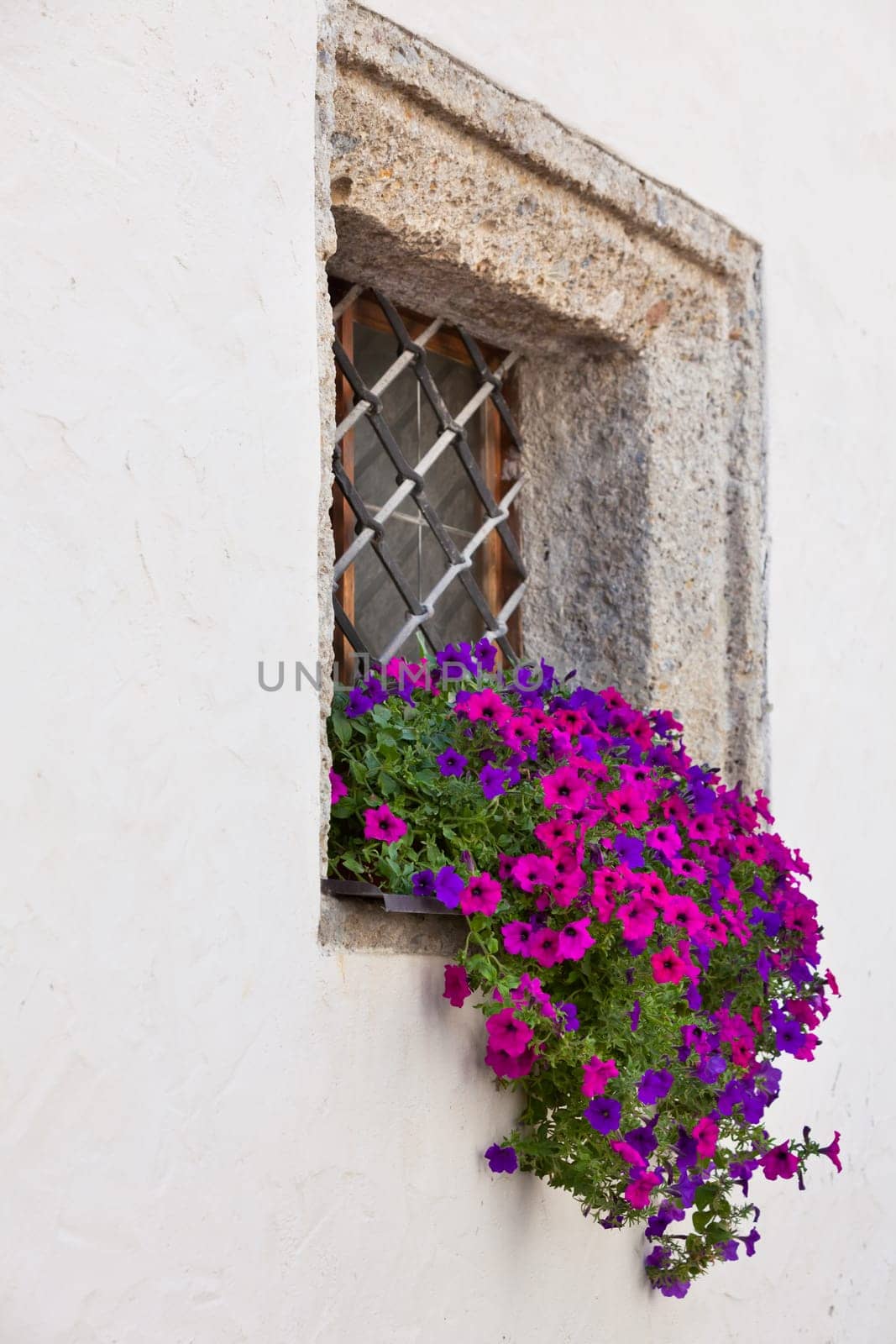Window with flowerpots and colorful flower on a white wall
