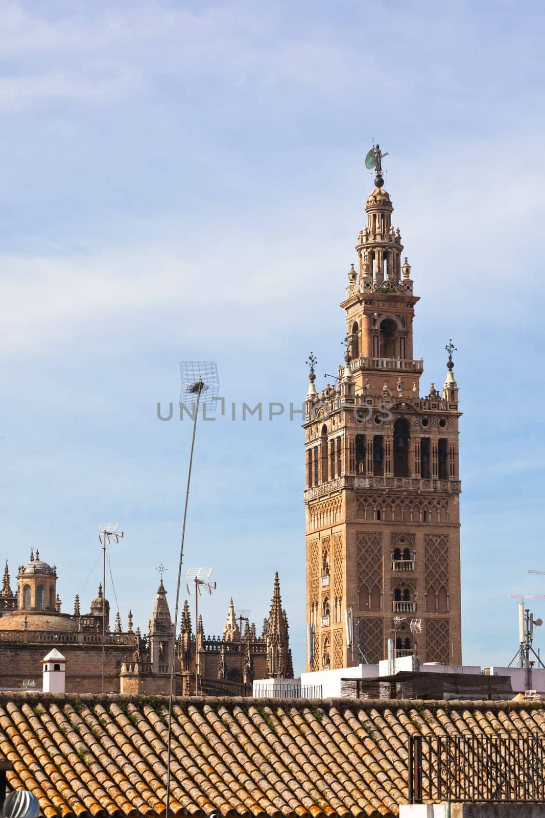 Catedral de Sevilla (Catedral de Santa María de la Sede), Spain and residential roofs
