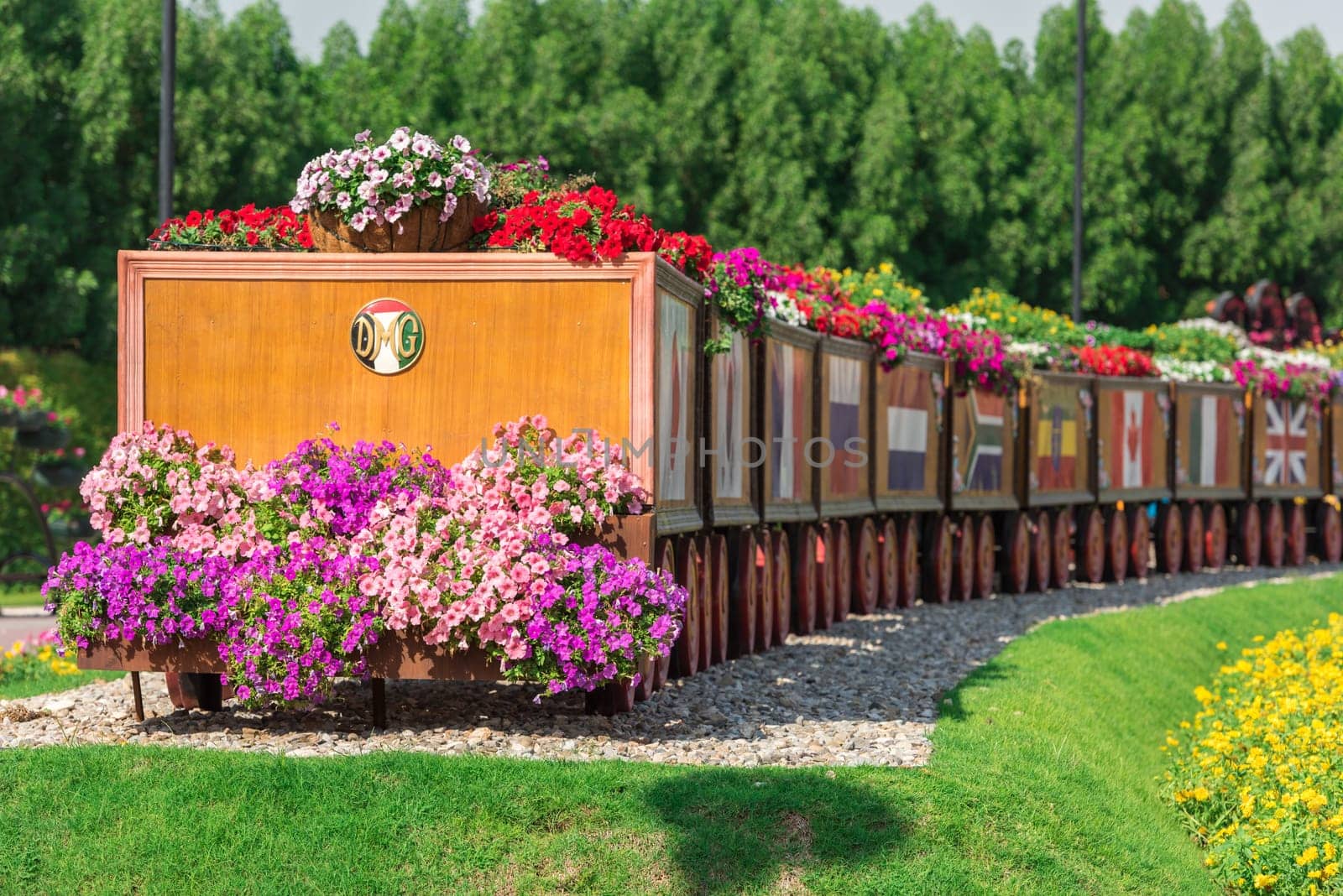 UAE, DUBAI - DECEMBER 30: dubai miracle garden with over million flowers on a sunny day December 30, 2014