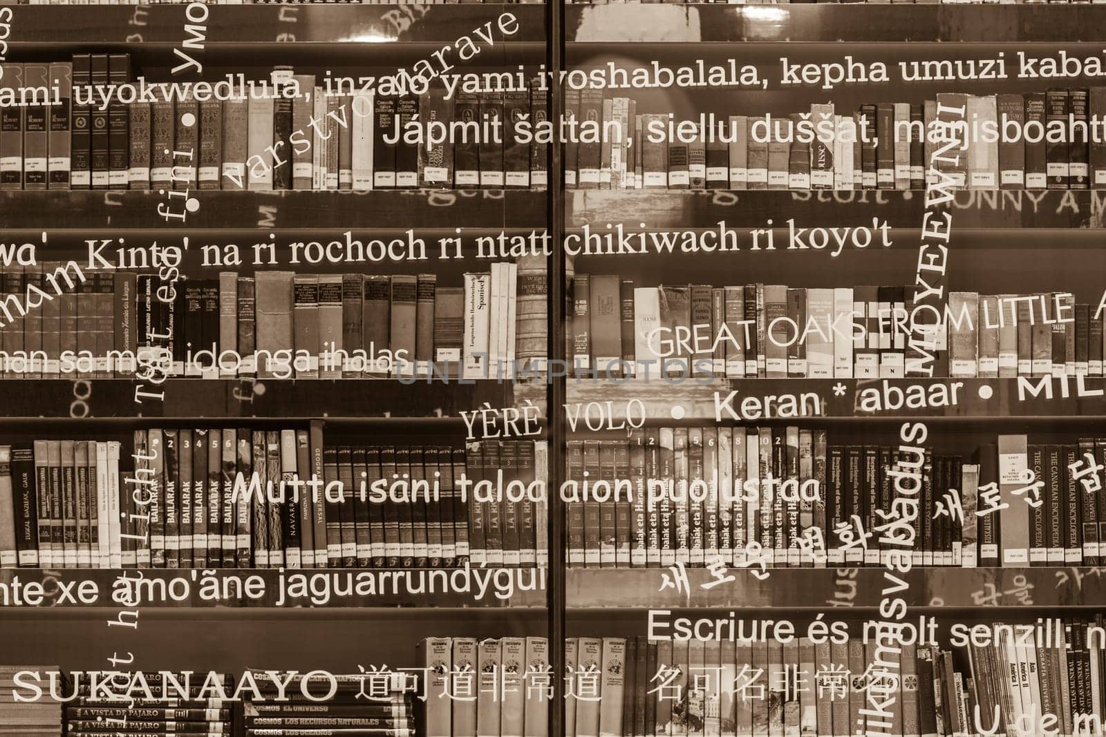 SPAIN, BILBAO - JANUARY 06: Glassy facade of the Regional Library of Bizkaia - modern library in Bilbao, Spain on January 06, 2013