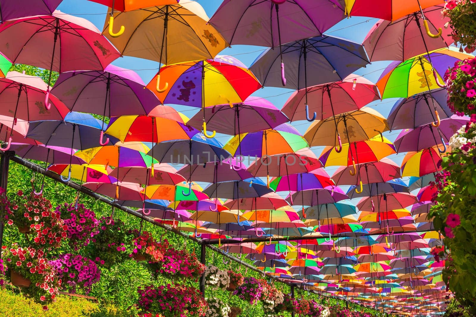 UAE, DUBAI - DECEMBER 30: multicolor umbrellas roof in Dubai miracle garden on December 30, 2014