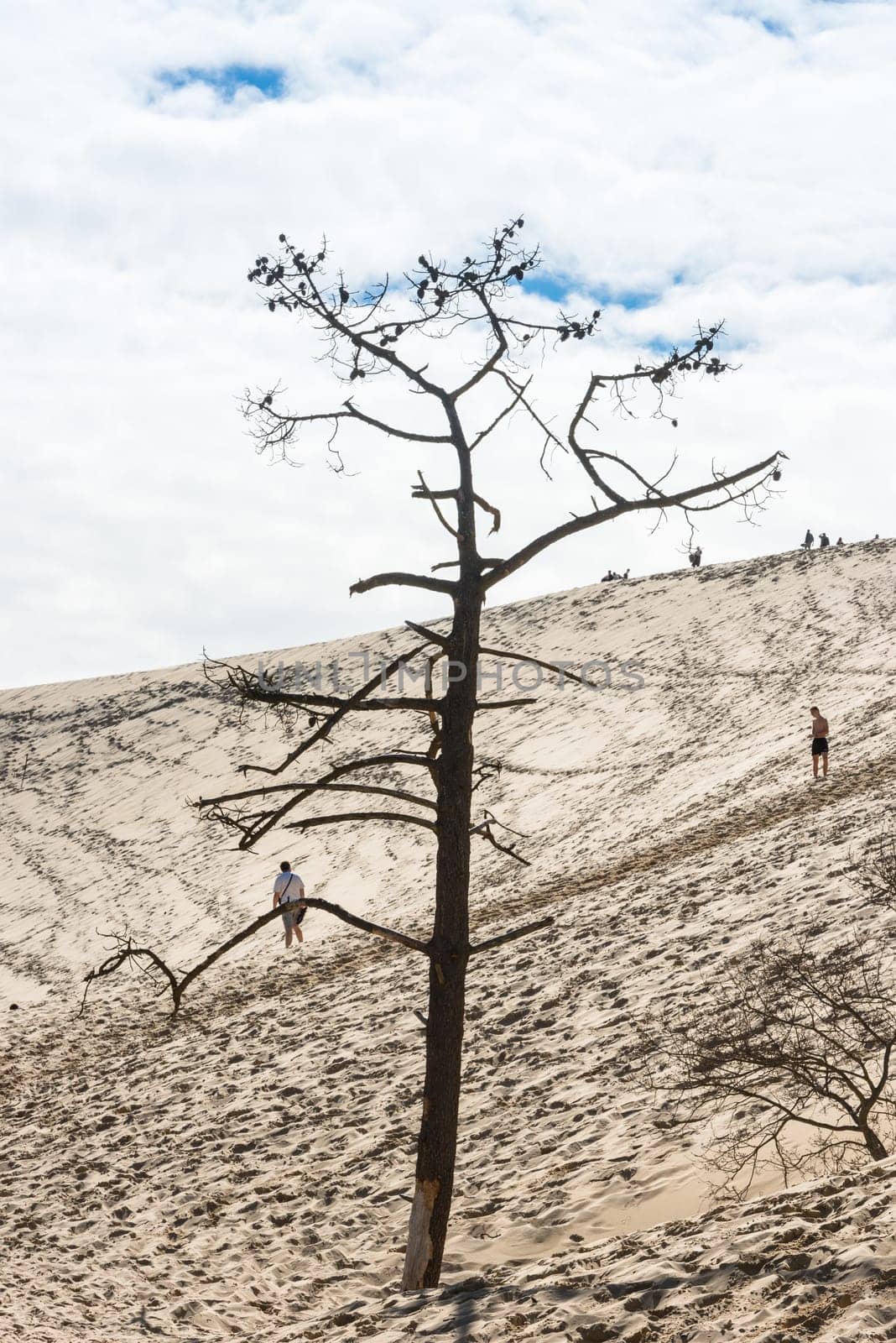 FRANCE, LA TESTE-DE-BUCH - SEPTEMBER 19: people visiting the famous highest sand dune in Europe Dune of Pyla on September 19, 2015