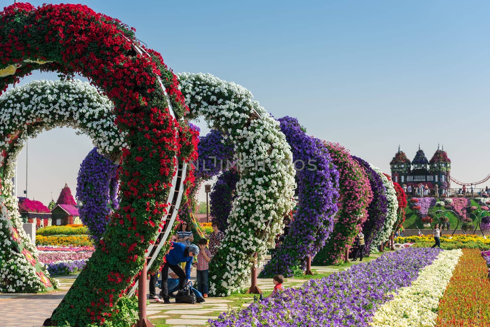 UAE, DUBAI - DECEMBER 30: dubai miracle garden with over million flowers on a sunny day December 30, 2014