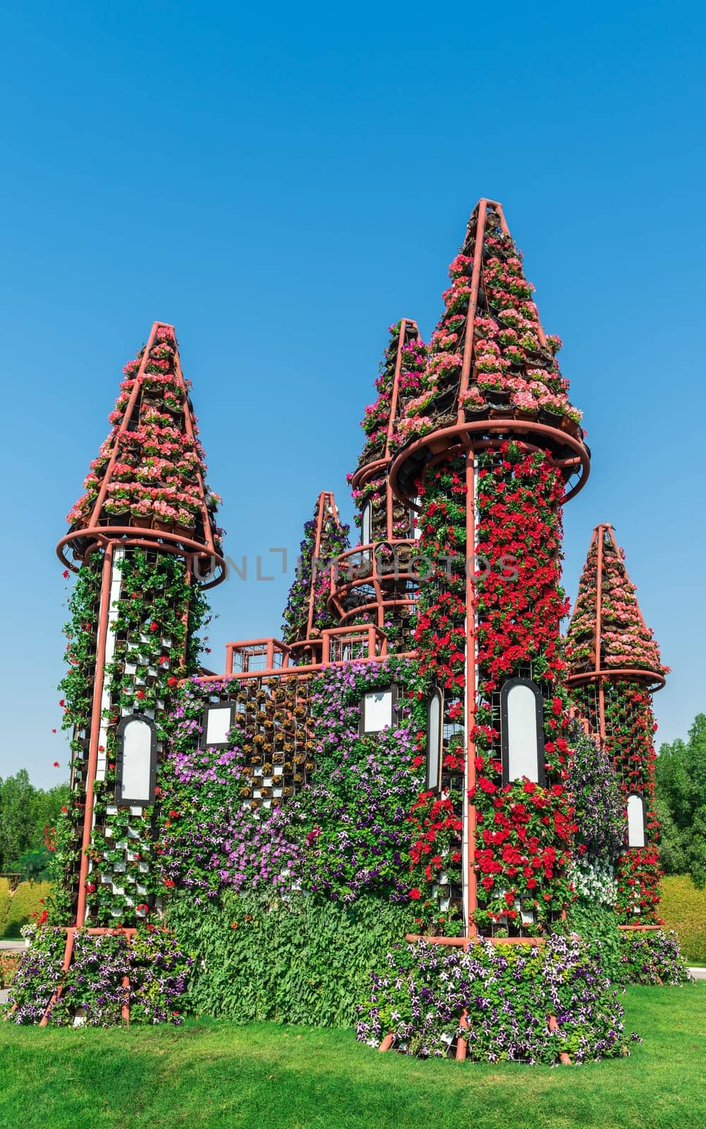 UAE, DUBAI - DECEMBER 30: dubai miracle garden with over million flowers on a sunny day December 30, 2014