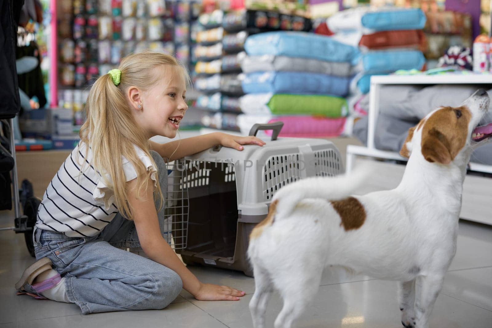 Little girl child calling dog to sit inside new plastic carriage bought at pet shop. Safety transportation for puppy assortment