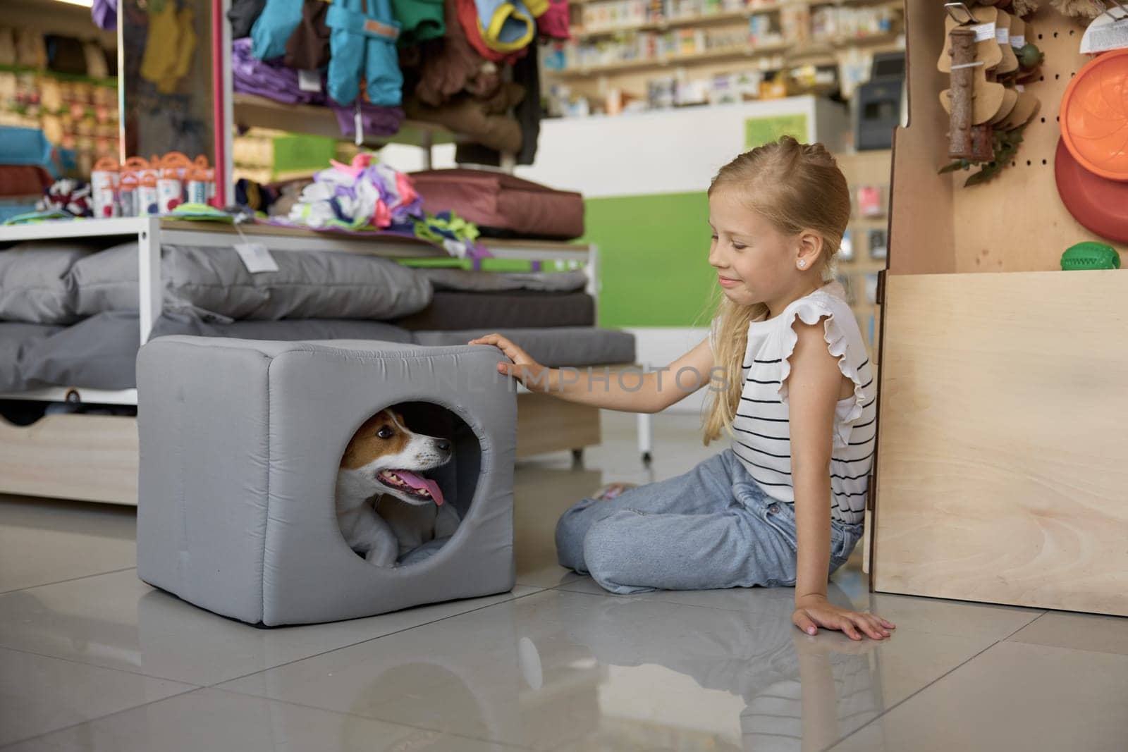 Portrait of cute little girl sitting on floor and dog hiding in new soft comfort house at pet shop. Retail shopping for domestic animal
