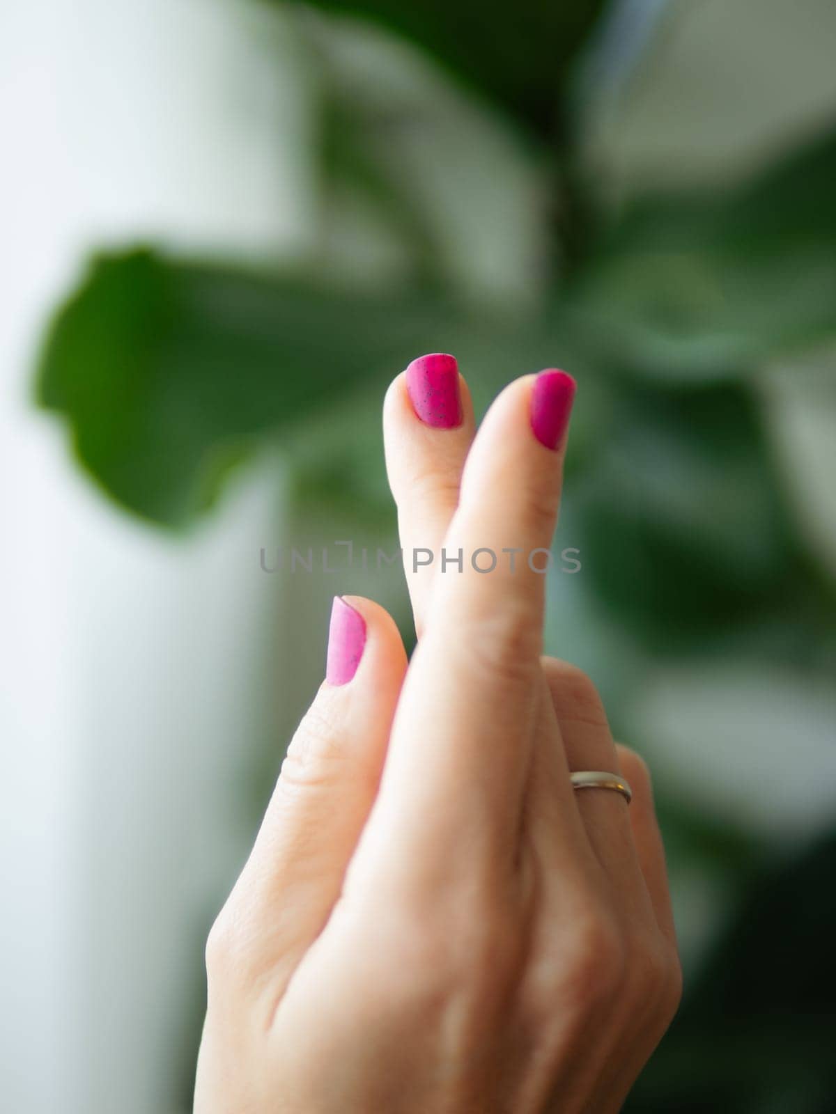 Female Hands With Purple Nails Manicure. Woman Fingernails With Pink Magenta Nails On Green Lush Background. Aesthetic Visual Of Trendy Manicure. Short Nails With Gel Or Nail Polish Lacquer