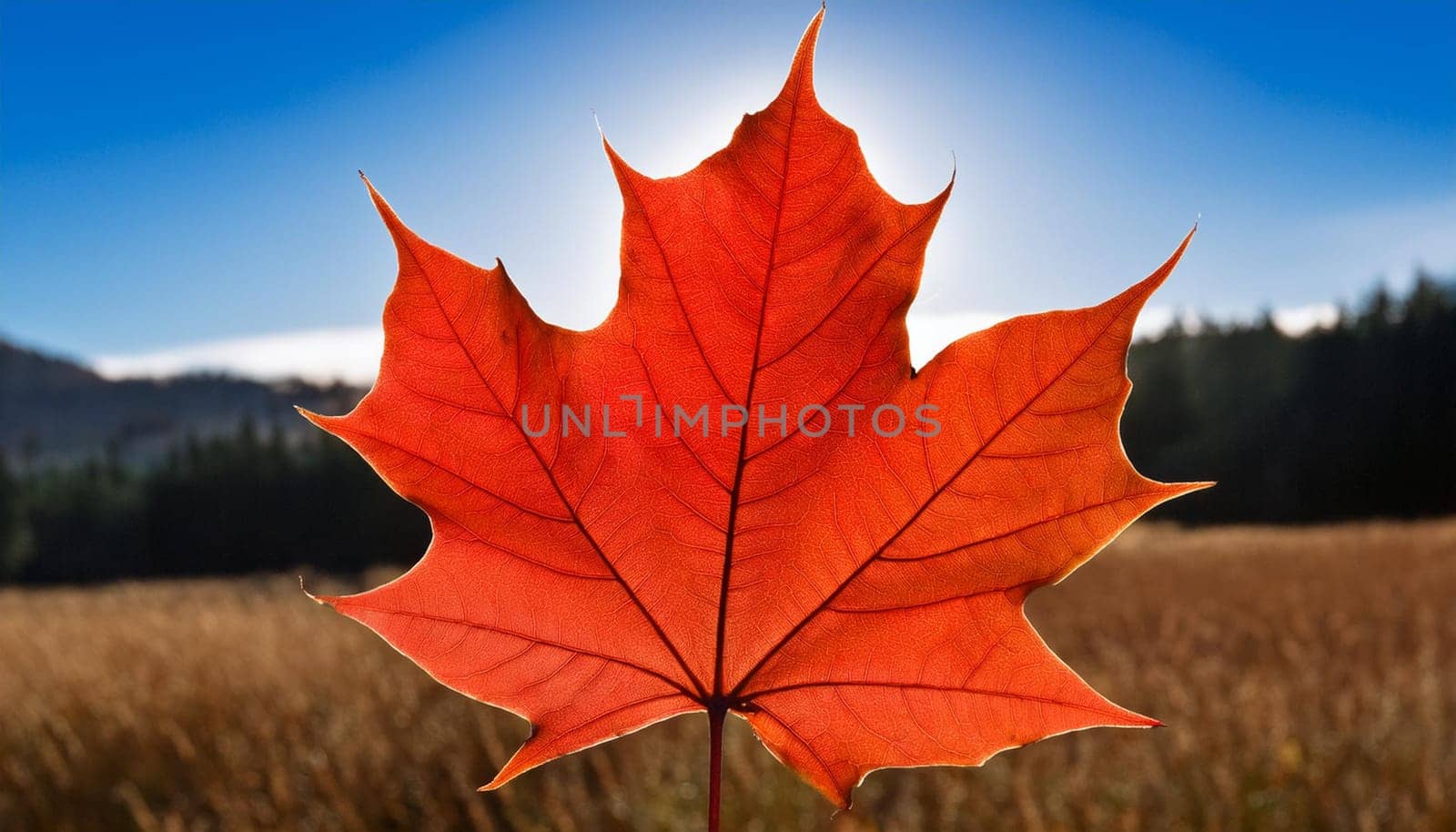 leaf of maple acer tree scientific name Acer Rubrum, AI generated image